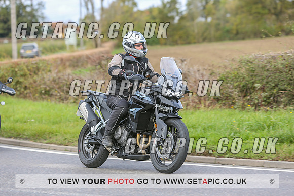 GS2010-12638