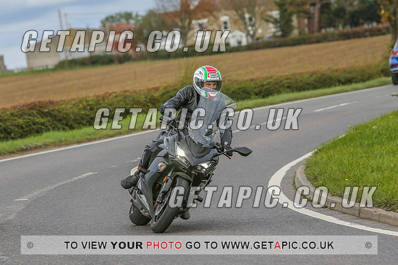 GS2010-12661