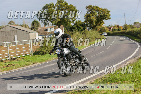 GS2010-12702