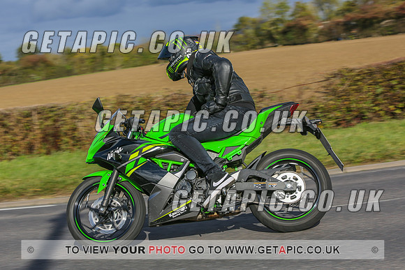 GS2010-12713