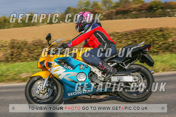 GS2010-12767