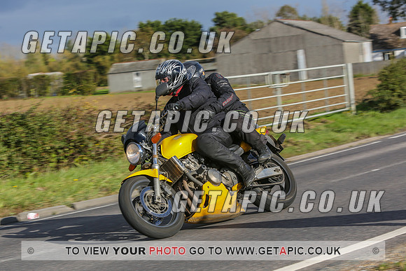 GS2010-12781