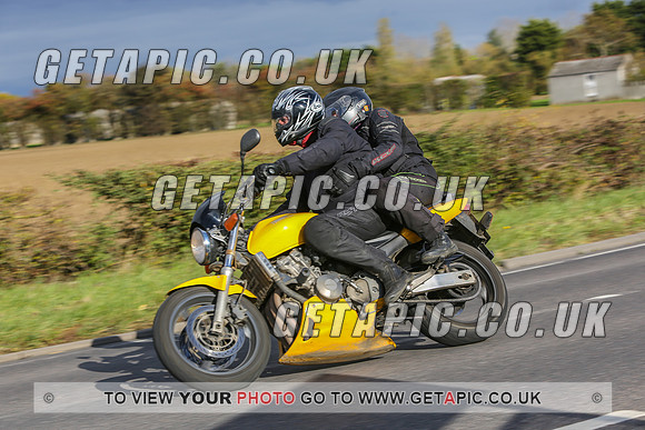 GS2010-12782
