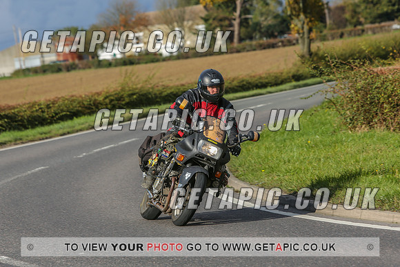 GS2010-12784
