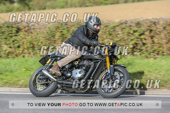 GS2010-12799