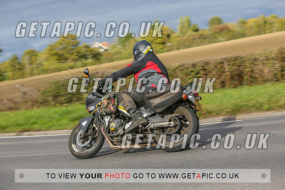 GS2010-12817