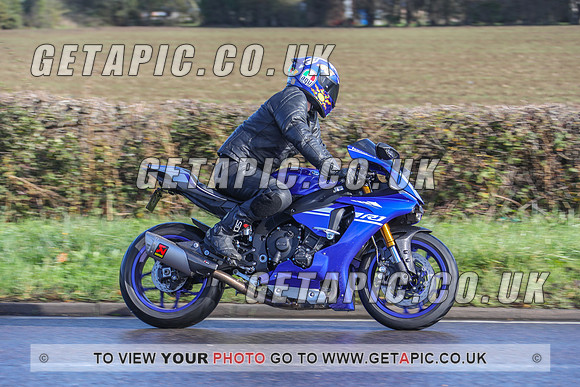 GP2010-46441