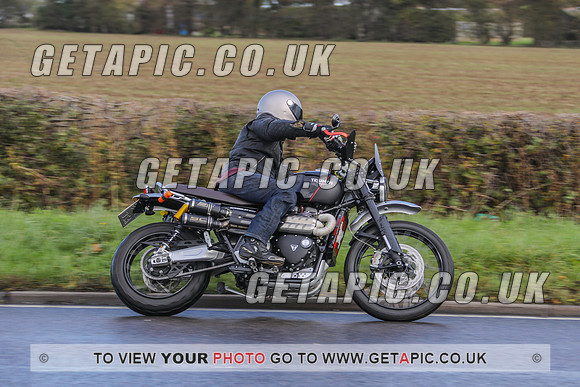 GP2010-46460