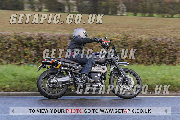 GP2010-46461