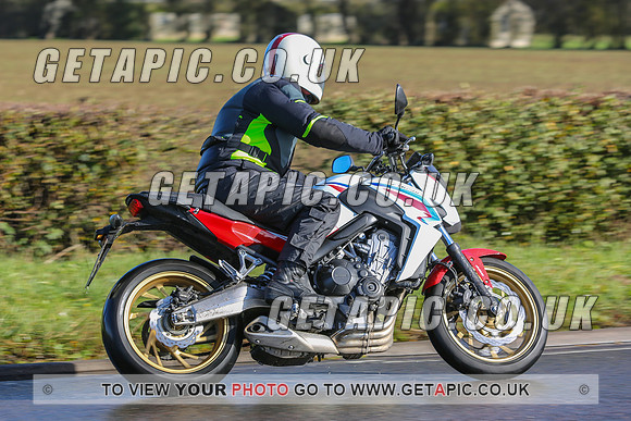 GS2010-46481