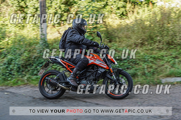 RS2108_10223