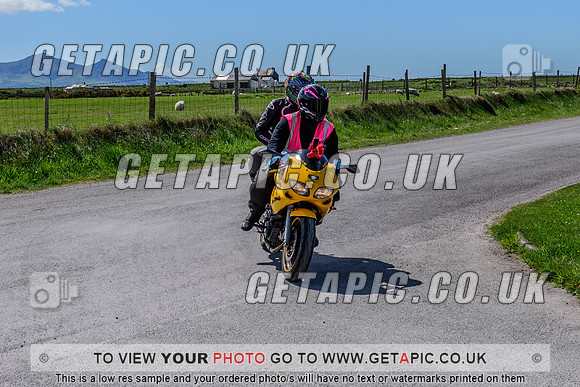 SP2504-3619