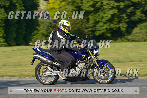 JAK2206-52019