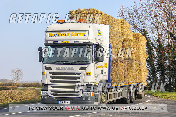 GP2203-16777
