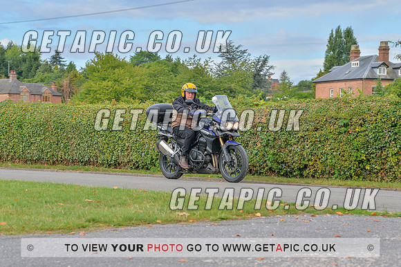 GP2208-10696
