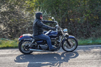 RS2203_4554