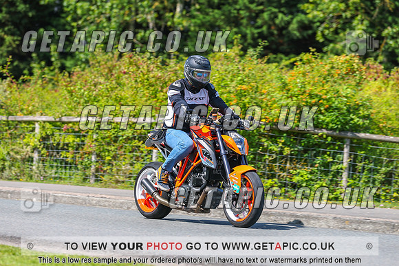 GP2508-8556-L