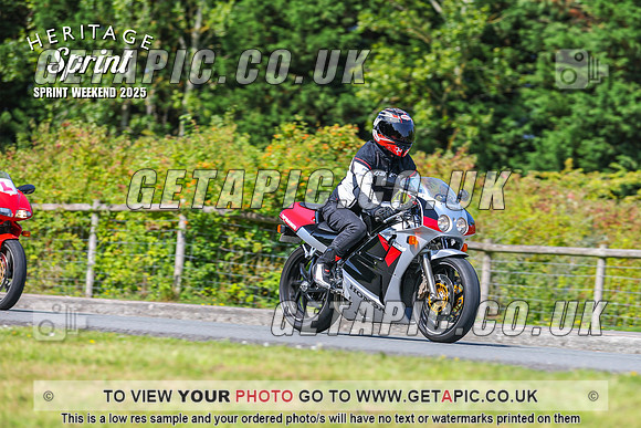 GP2508-8160-L_LOGO_ON_PHOTO