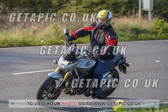 RS2203_4549