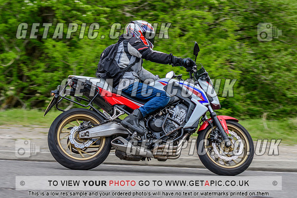 SP2505-2024