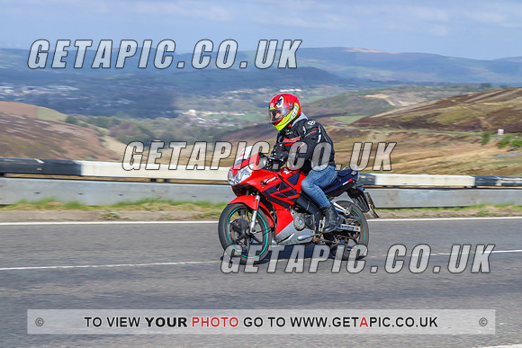 BL2204-13294