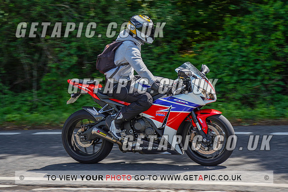 RS2205_17656