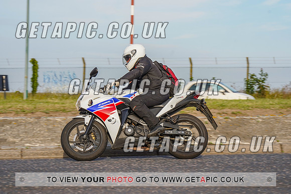 RS2206_9489