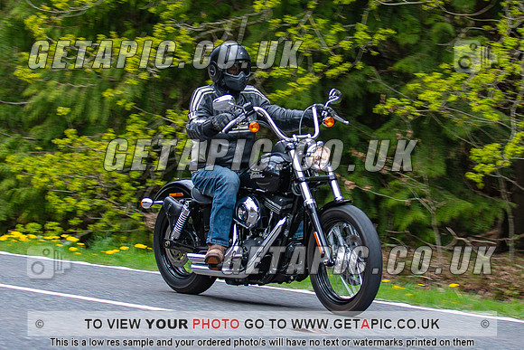 WC2504-3934-C