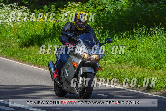 RS2205_17186
