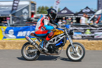 GP2508-3289-C