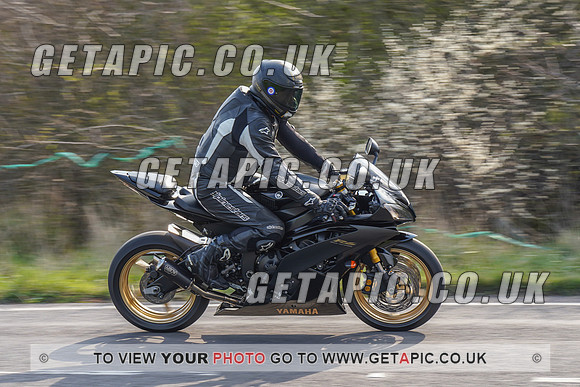 RS2203_4603