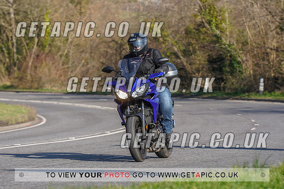 RS2202_2181