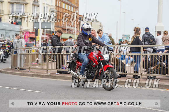 RS2205_15431