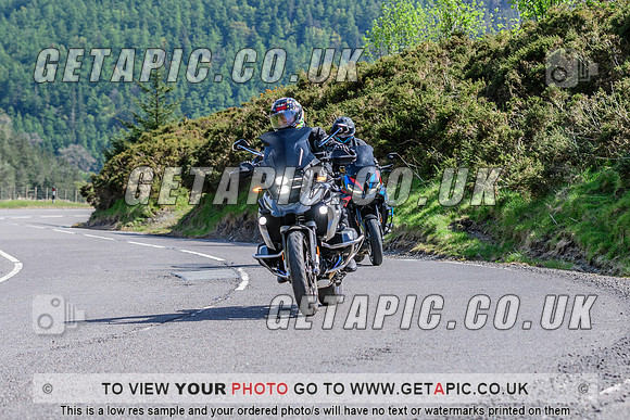 SP2504-0919
