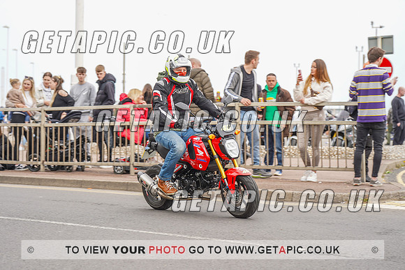 RS2205_15398