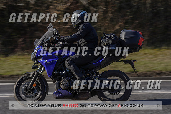 RS2202_5691