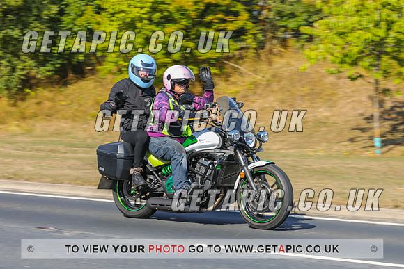 GP2208-5613