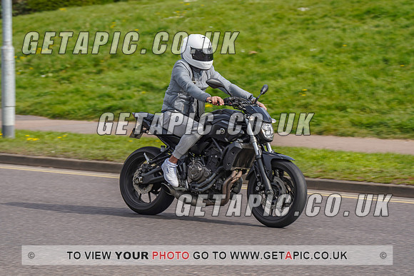 RS2204_3947