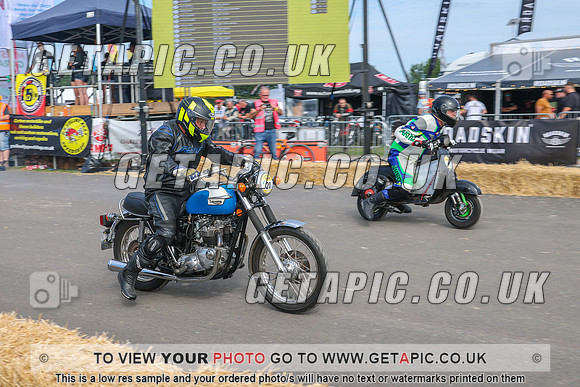 GP2508-3219