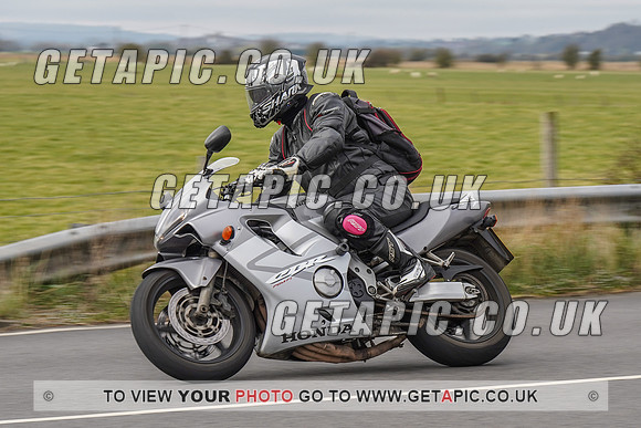 RS2203_6716