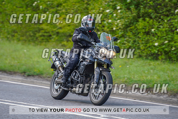 RS2204_11559