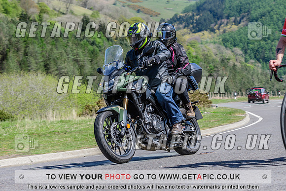 SP2504-1741