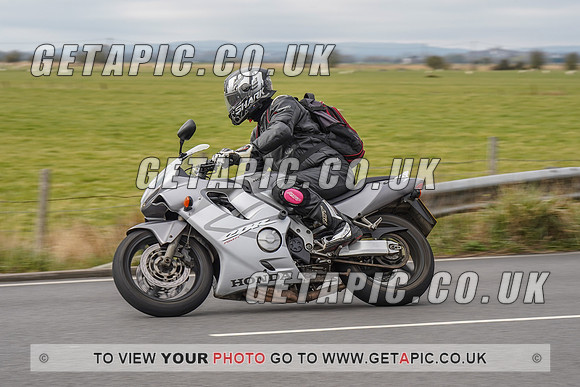 RS2203_6717