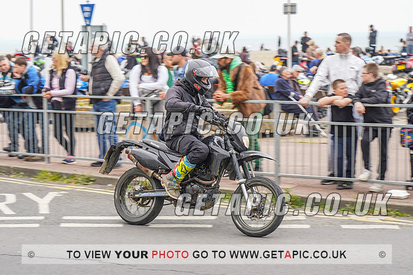 RS2205_13603