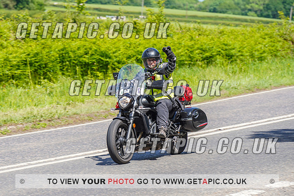 RS2205_17694