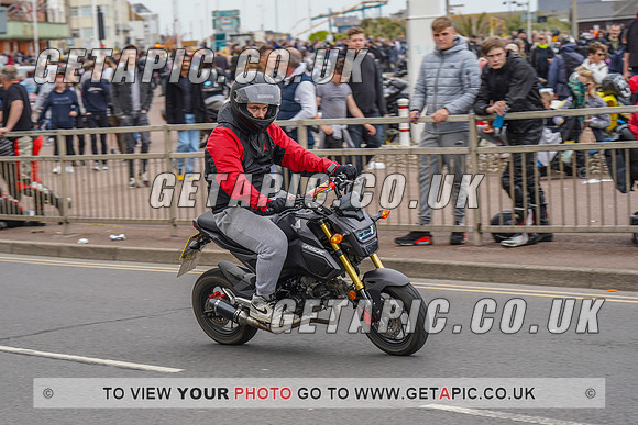 RS2205_14054