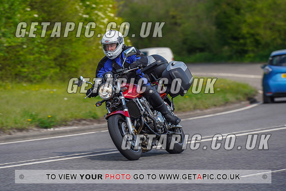 RS2204_11540
