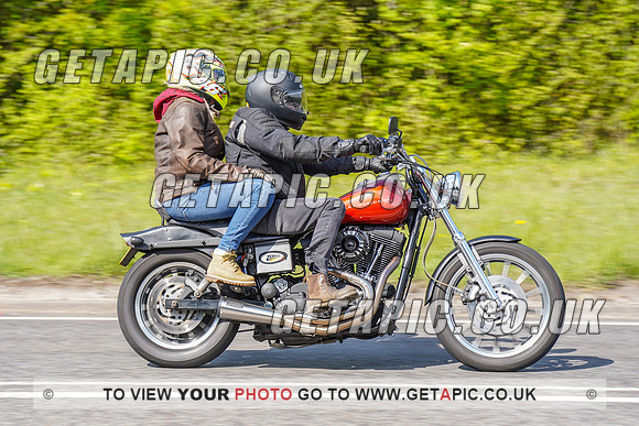 RS2204_11550