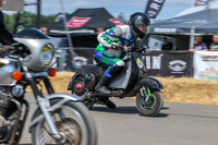 GP2508-3794-C