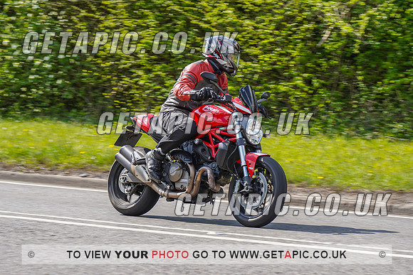 RS2204_12556